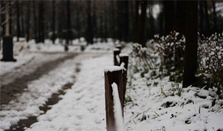 timg_副本.jpg timg_副本.jpg