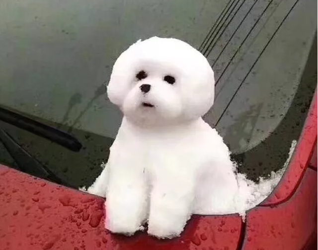 QQ图片20180128123518.png QQ图片20180128123518.png