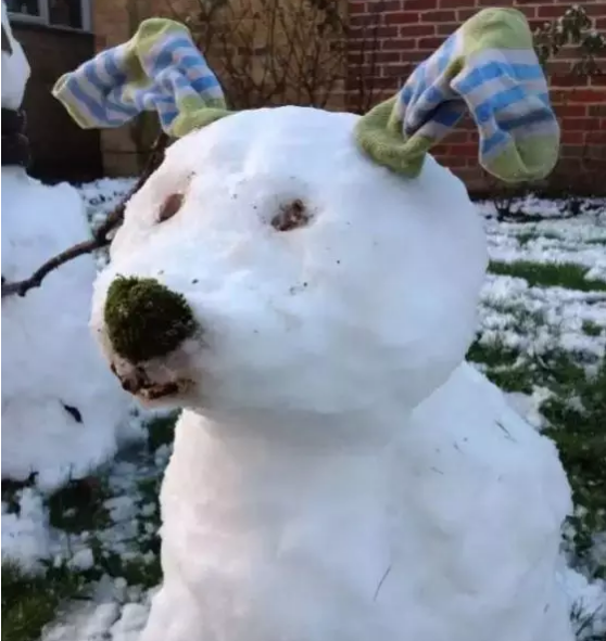 QQ图片20180128125237.png QQ图片20180128125237.png