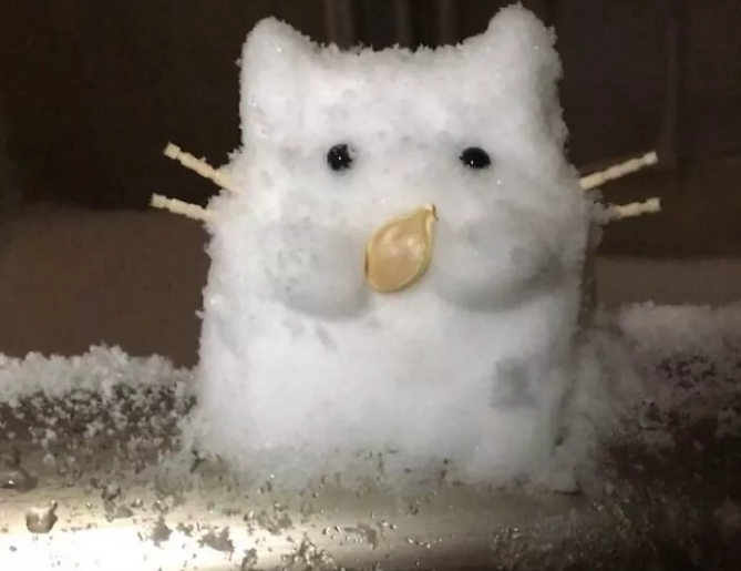 QQ图片20180128125850.png QQ图片20180128125850.png