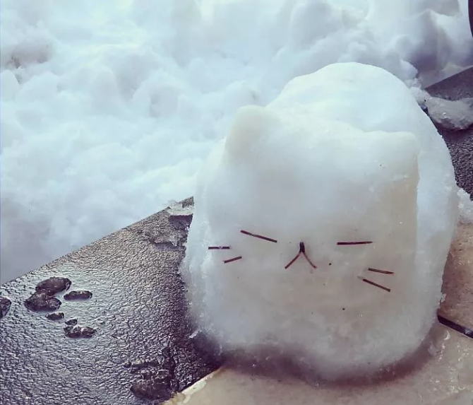 QQ图片20180128125946.png QQ图片20180128125946.png