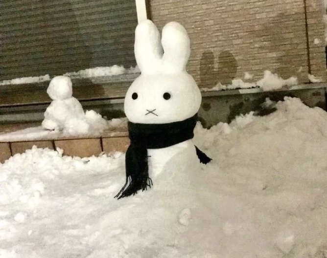 QQ图片20180128130043.png QQ图片20180128130043.png