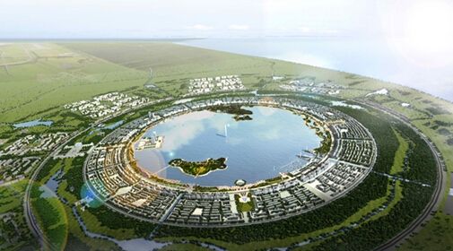 timg (12).jpg timg (12).jpg