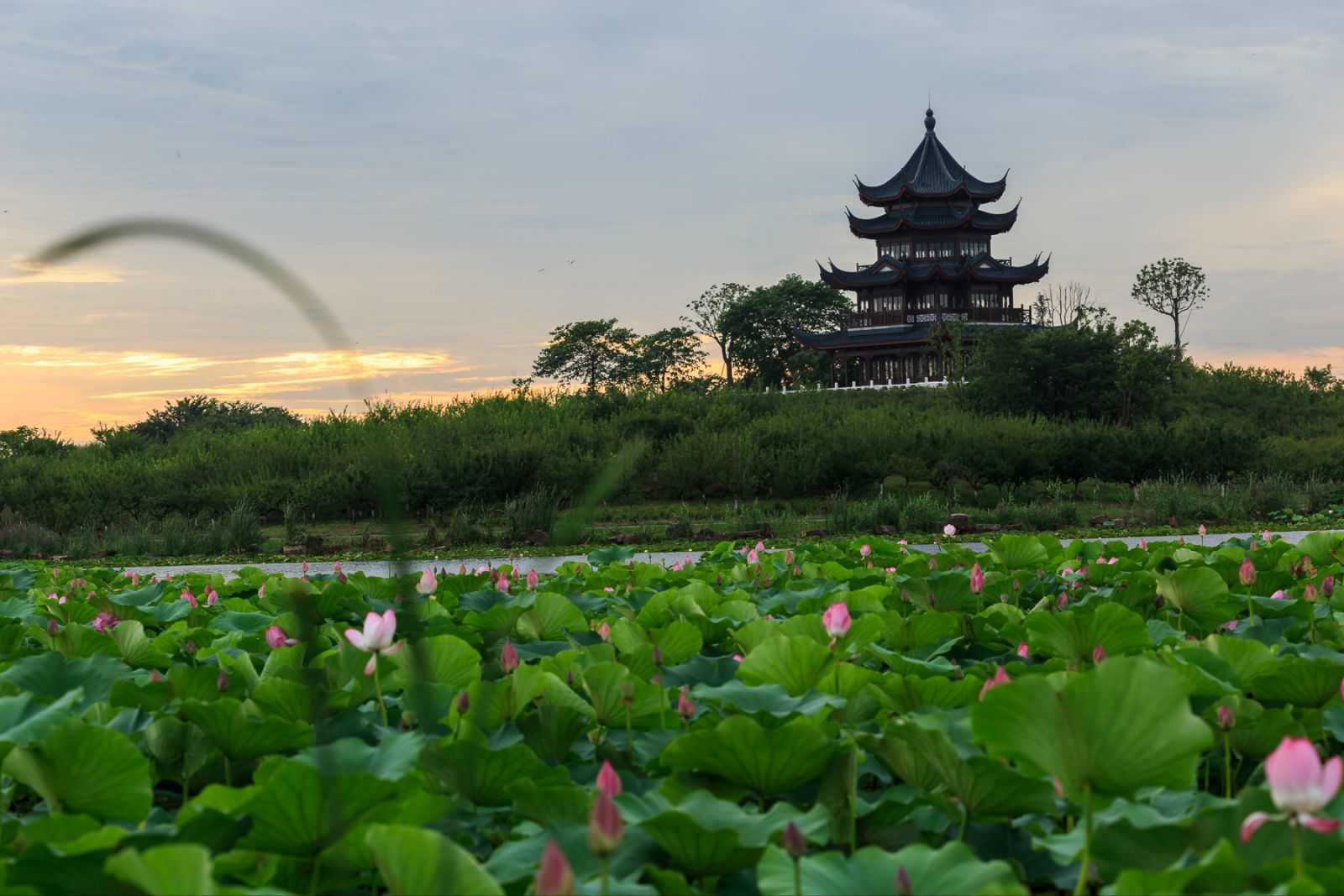 1406209845973p18tka5onuqem16gs1d287101g4il.jpg 1406209845973p18tka5onuqem16gs1d287101g4il.jpg