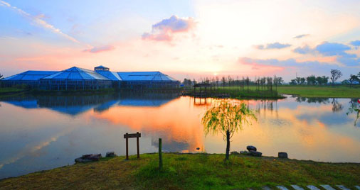 W020150818560474806935.jpg W020150818560474806935.jpg