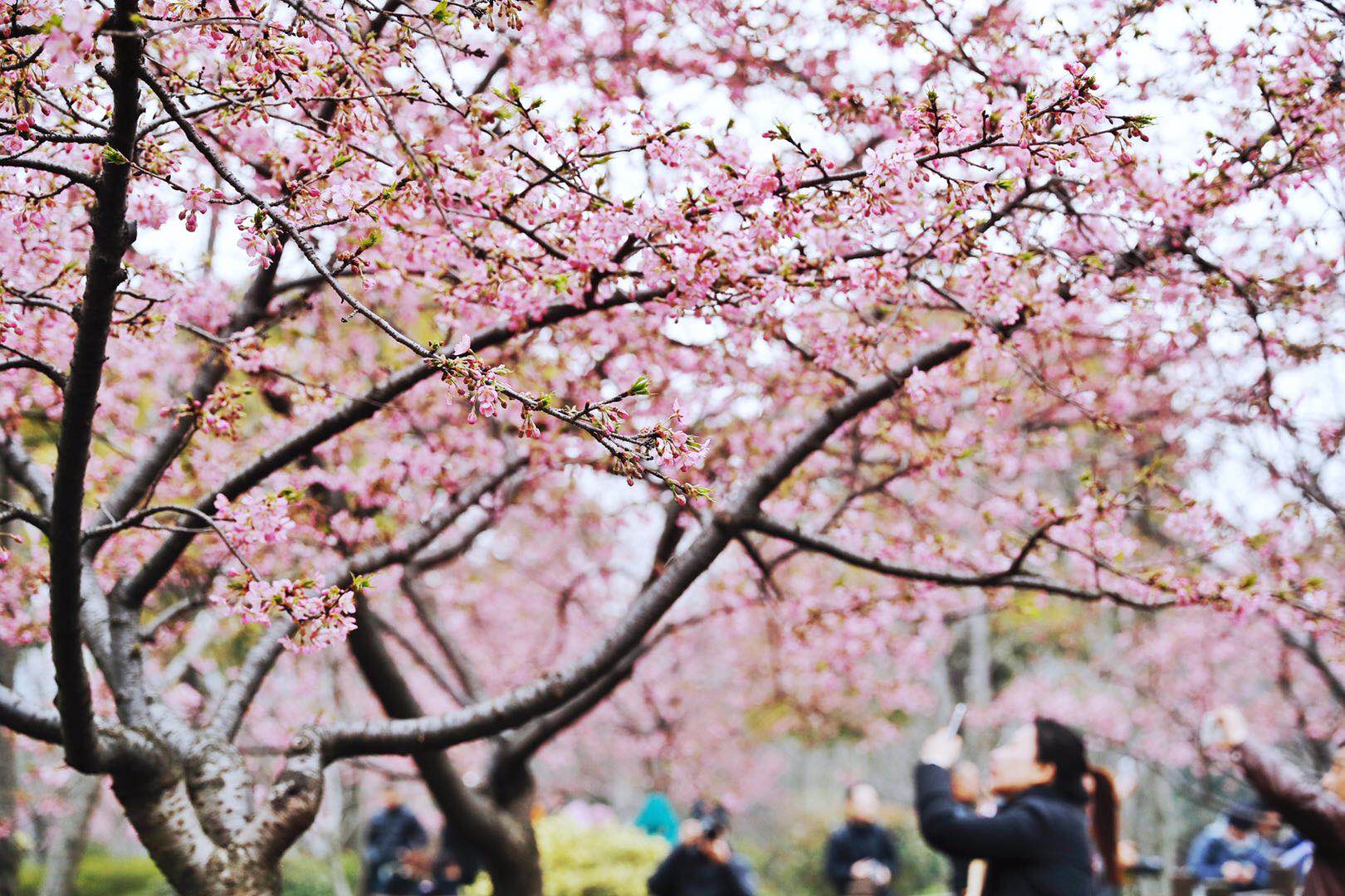 1432788011.jpg 1432788011.jpg