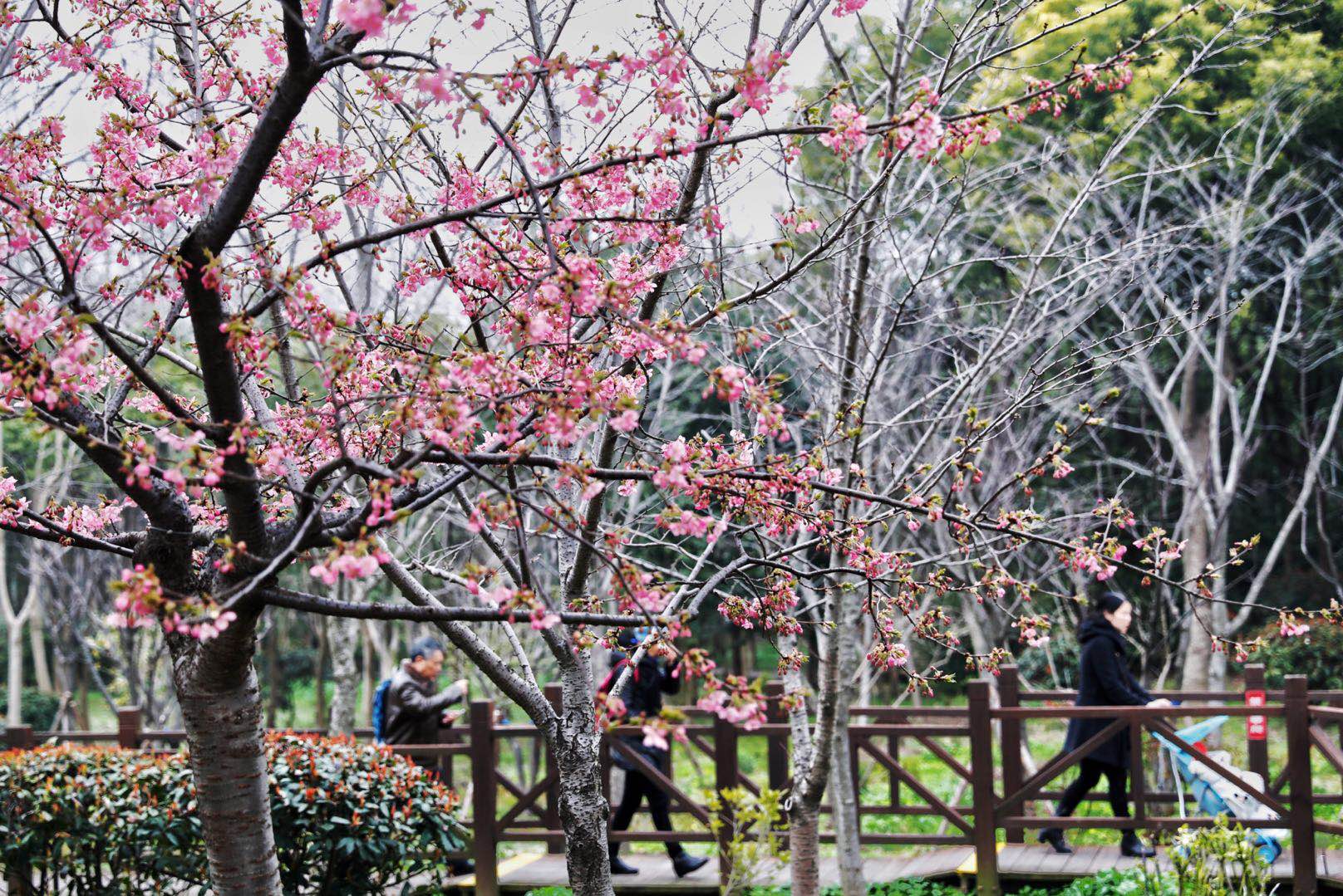 497785343.jpg 497785343.jpg