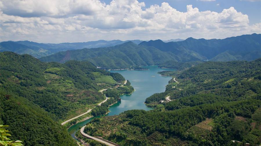 timg (42).jpg timg (42).jpg