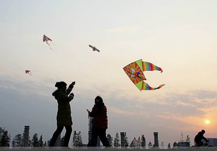 timg (1).jpg timg (1).jpg