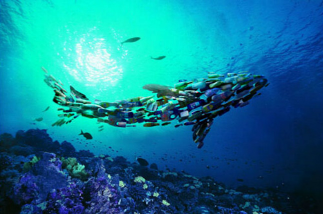 1_meitu_2.jpg 1_meitu_2.jpg