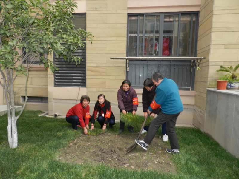 三八3.jpg 三八3.jpg