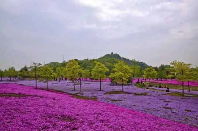 912147779.jpg 912147779.jpg