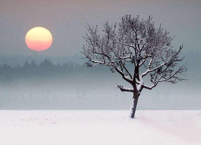 1772040484.jpg 1772040484.jpg