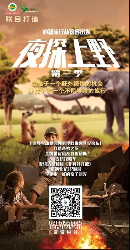 夜游上野.jpg 夜游上野.jpg