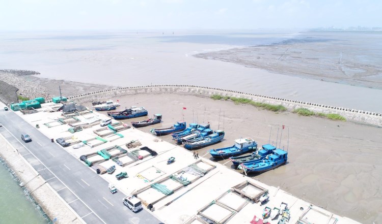 20183037pc96.jpg 20183037pc96.jpg