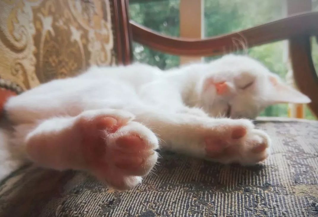 640-4.jpeg 640-4.jpeg