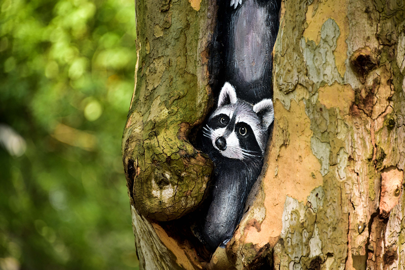 webwxgetmsgimg (6).jpg webwxgetmsgimg (6).jpg