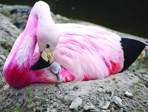 binary_middle.jpg binary_middle.jpg