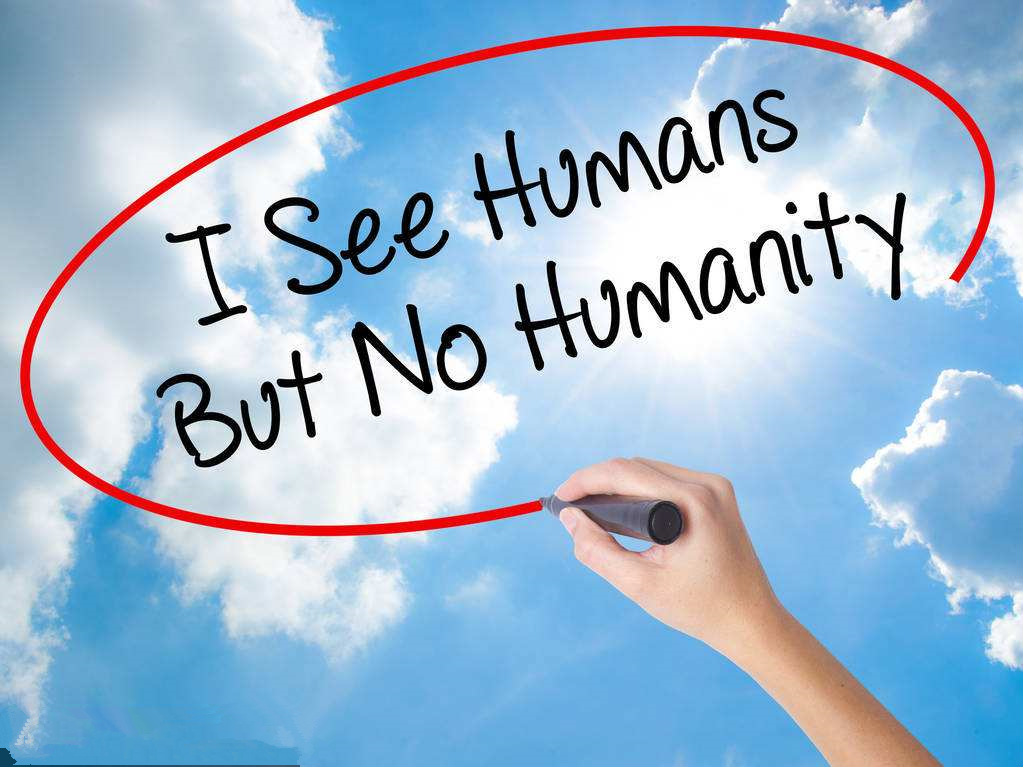 timg (5).jpg timg (5).jpg