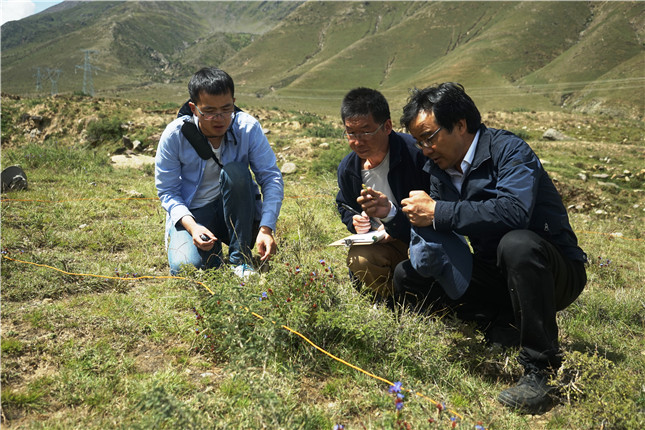 藏大拉琼老师带着他的博士生在纳金山做样方.JPG