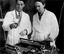 8E1230317.jpg 8E1230317.jpg