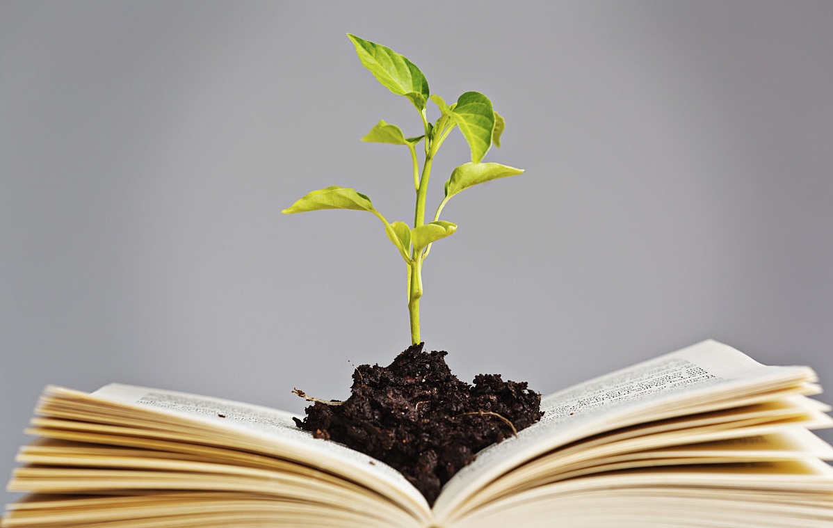 cc11728b4710b912242511d1c9fdfc039245223d.jpg cc11728b4710b912242511d1c9fdfc039245223d.jpg