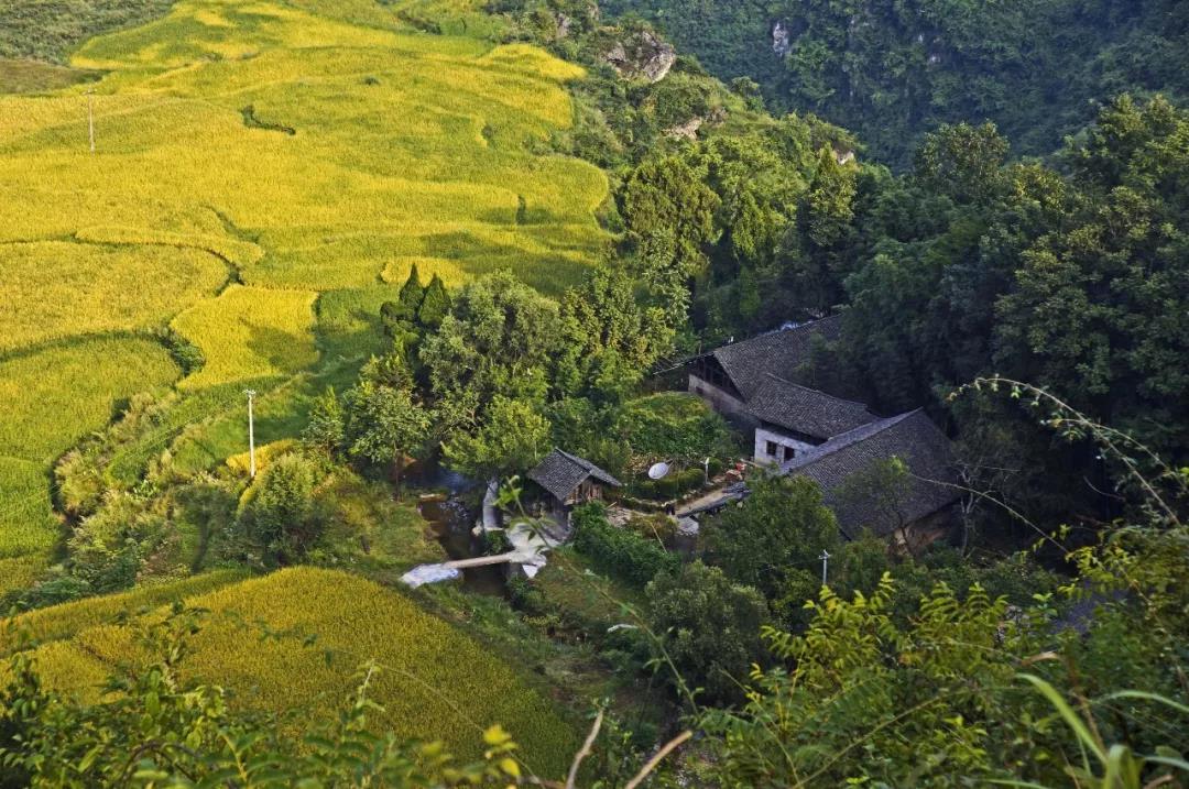 微信图片_20181129112256.jpg 微信图片_20181129112256.jpg