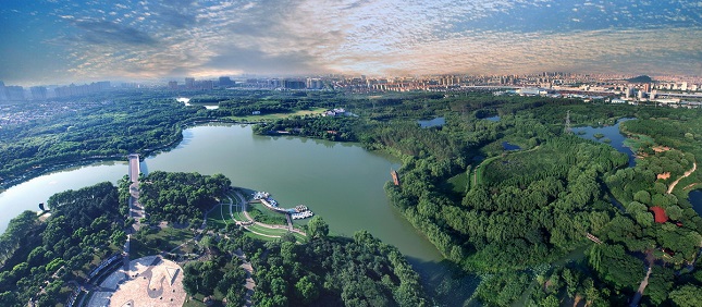 蔡龙--生态森林公园.jpg 蔡龙--生态森林公园.jpg