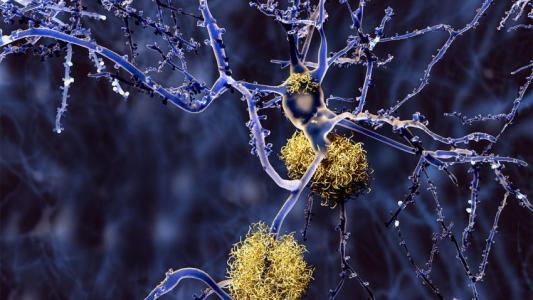 u=1840268515,863361838&fm=26&gp=0.jpg u=1840268515,863361838&fm=26&gp=0.jpg