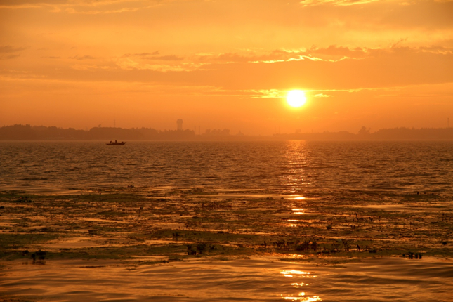 青浦淀山湖市级重要湿地，郑麟拍摄_副本.jpg