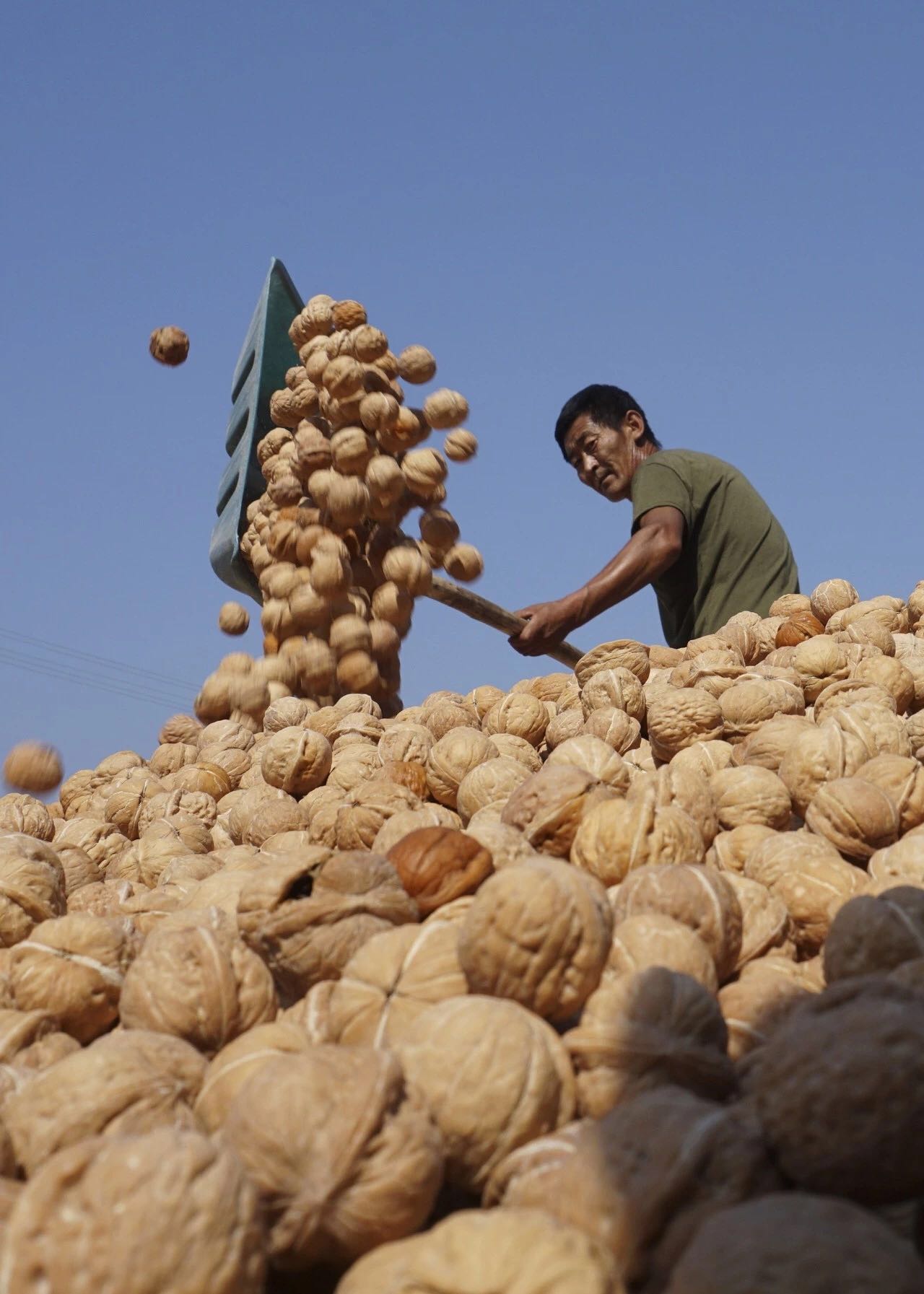 微信图片_20190412081422.jpg 微信图片_20190412081422.jpg