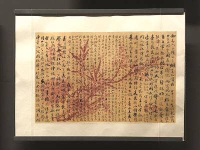 XR50419_p15_b.jpg XR50419_p15_b.jpg