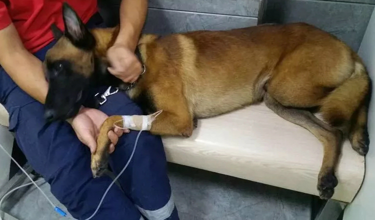 1091922934_meitu_1.jpg 1091922934_meitu_1.jpg