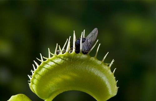 u=2487542373,1528187363&fm=26&gp=0.jpg u=2487542373,1528187363&fm=26&gp=0.jpg