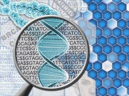 timg (1).jpg timg (1).jpg