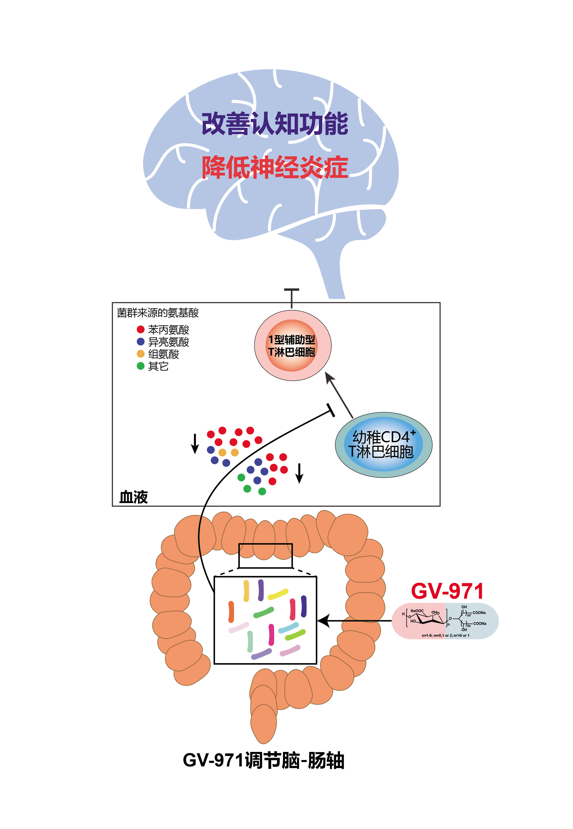 5.九期一®靶向脑肠轴治疗阿尔茨海默病的机制示意图.jpg