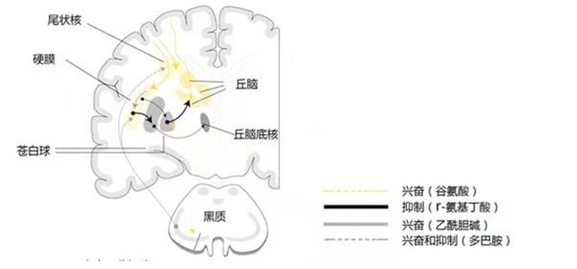 内8ce84700dccc_副本.jpg