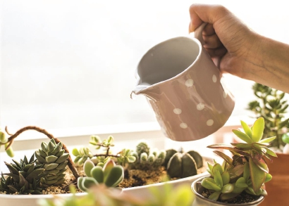 80306_p26.jpg 80306_p26.jpg