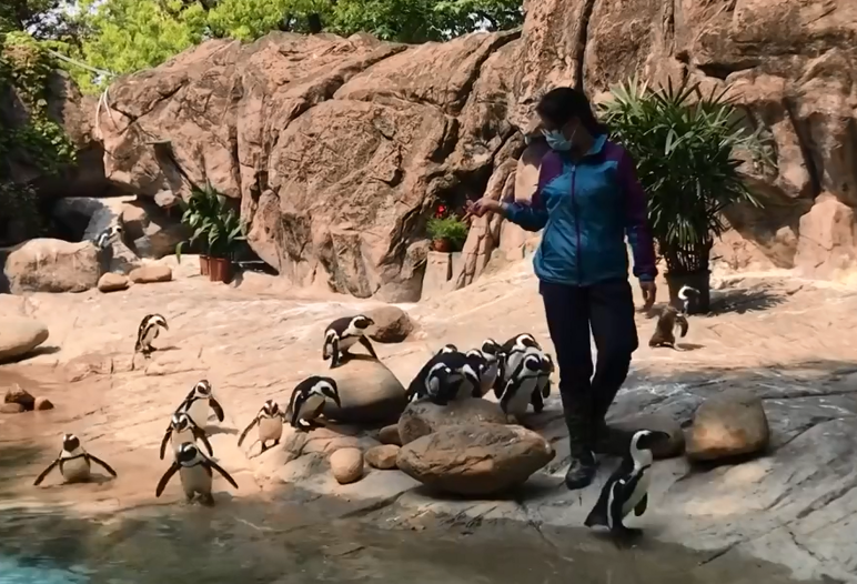 微信图片_20200501211444.png 微信图片_20200501211444.png