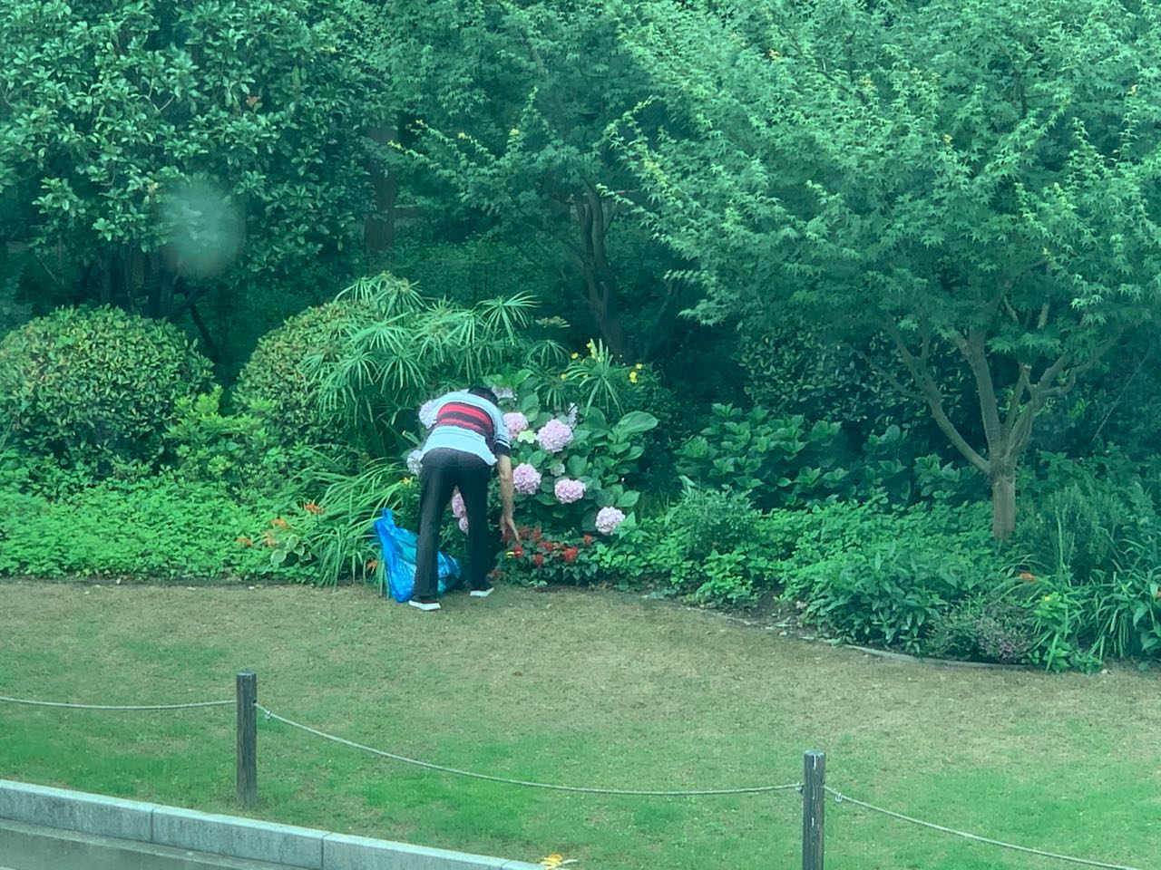 微信图片_20200628095238.jpg 微信图片_20200628095238.jpg