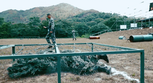 178a0e12bf4a1e68f085dda221f2c8ed.gif 178a0e12bf4a1e68f085dda221f2c8ed.gif