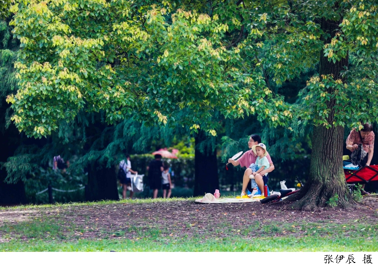 2892204_w750.jpg 2892204_w750.jpg