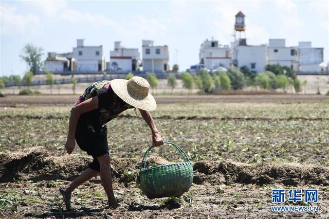 d058ccbf6c81800a309abd68f5d20efd838b4742.jpeg d058ccbf6c81800a309abd68f5d20efd838b4742.jpeg