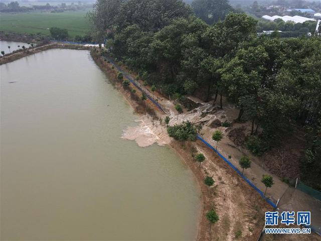 4d086e061d950a7b47432cc642365fdef3d3c9a8.jpeg 4d086e061d950a7b47432cc642365fdef3d3c9a8.jpeg