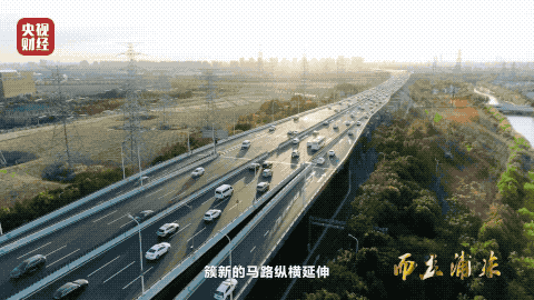 3 在张江科学城 这片只有95平方公里的土地.gif