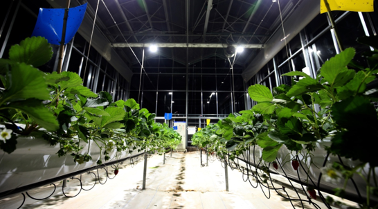 微信截图_20201206120537.png 微信截图_20201206120537.png