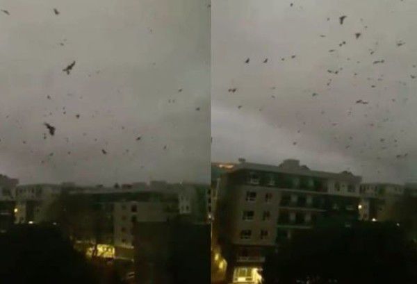 下载.jpg 下载.jpg