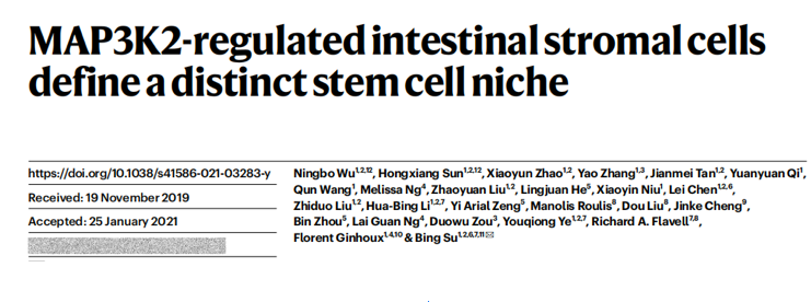 屏幕快照 2021-03-04 上午9.20.11.png