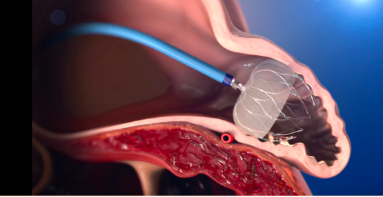 屏幕快照 2021-06-06 上午8.14.13.png