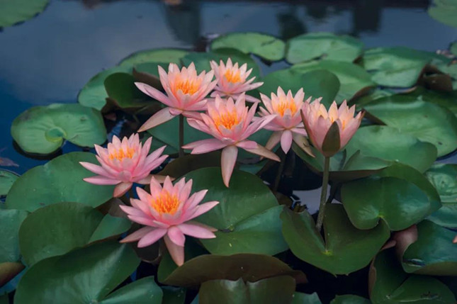 内 31120717_副本.jpg 内 31120717_副本.jpg